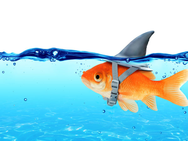AimBetter Site | Smart fish